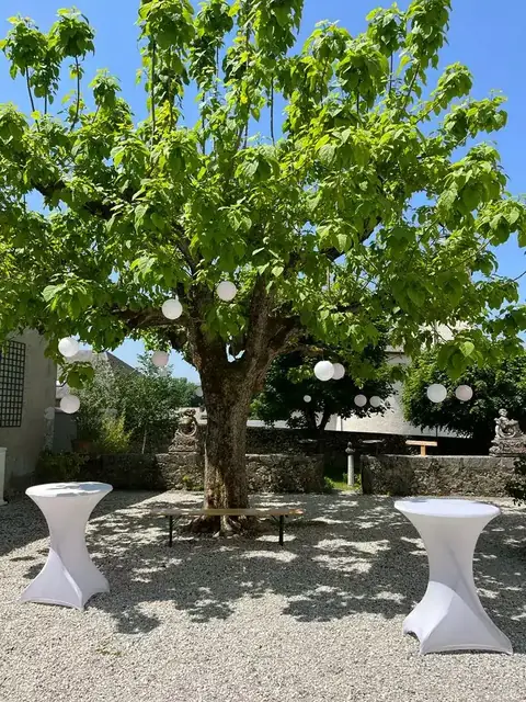 Cour gravillonnée du château ombragée par un grand catalpa, tables hautes nappées de blanc