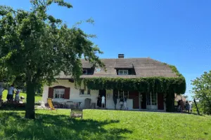 Grande maison familiale entourée de pelouse et d’arbres