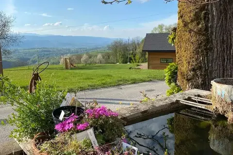Bassin fleuri et prairie au Jardin de Max et Nana, face aux montagnes